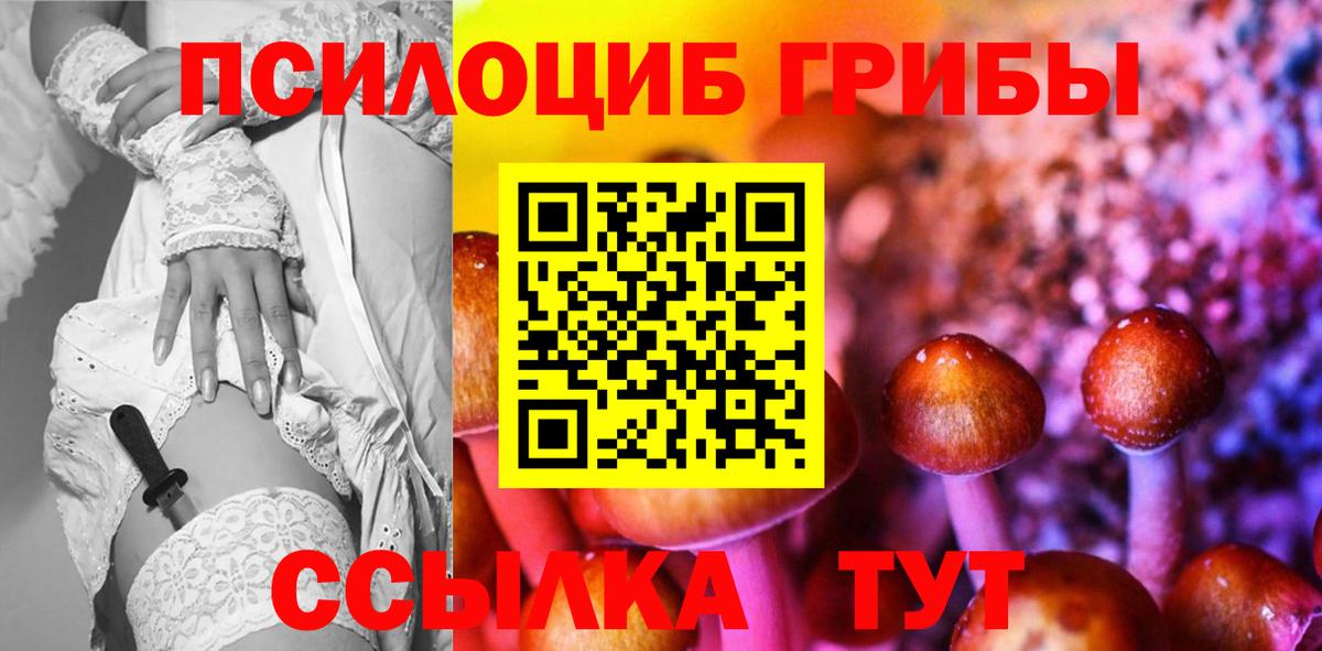 как найти   Галлюциногенные грибы мухоморы  Вход с VPN  Ростов-на-Дону 